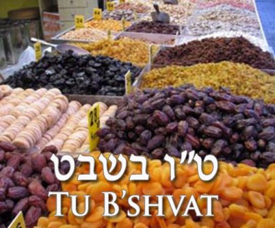 O que é Tu BiShvat - o Ano Novo das Arvores? E como é Celebrado !?