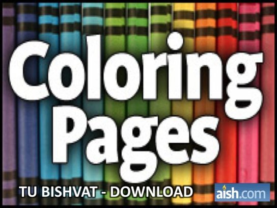 Download Grátis: Kids: Para Colorir com tema Judaico de Tu BiShvat para Crianças