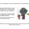 Mostra Cultural da Escola Gani 