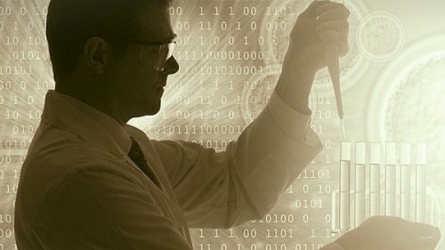 Ciência e Meio Ambiente: Cientistas Criam Rim Humano a partir de Células-Tronco