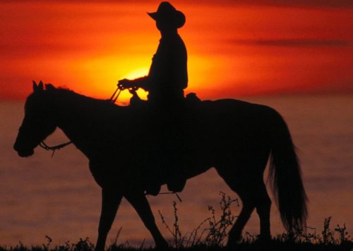 Os Rabinos Cowboys - Uma História Country num Bar do Wyoming em Tishá BeAv