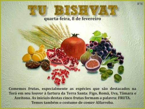 Mensagem de TU BISHVAT 5772 do Beit Chabad Salvador